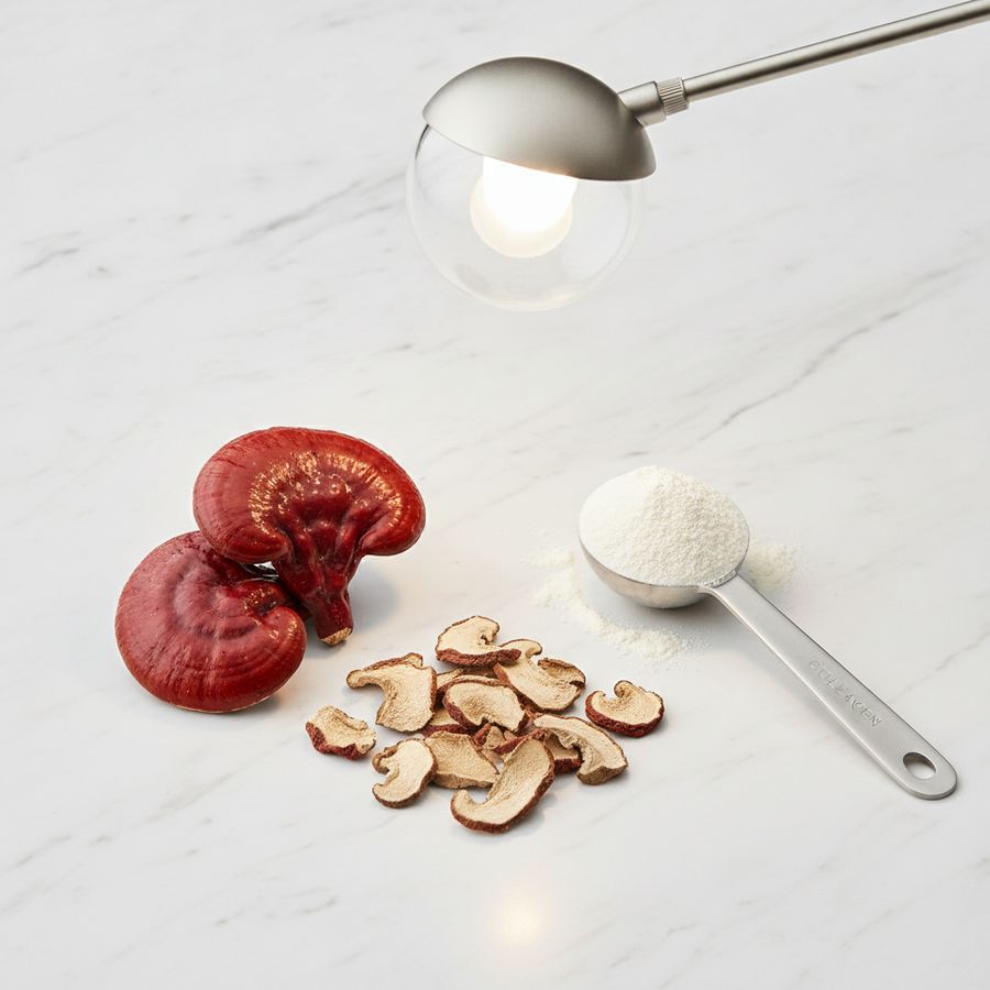 Ganoderma y colágeno